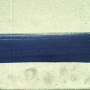 Detail of fingerprints on an acrylic paint film © Tate 2006