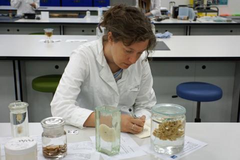 Claire Dean attended the Fluid Specimen Preservation Course in 2022.