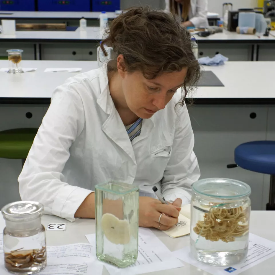 Claire Dean attended a course on preservation of fluid specimens in 2022.